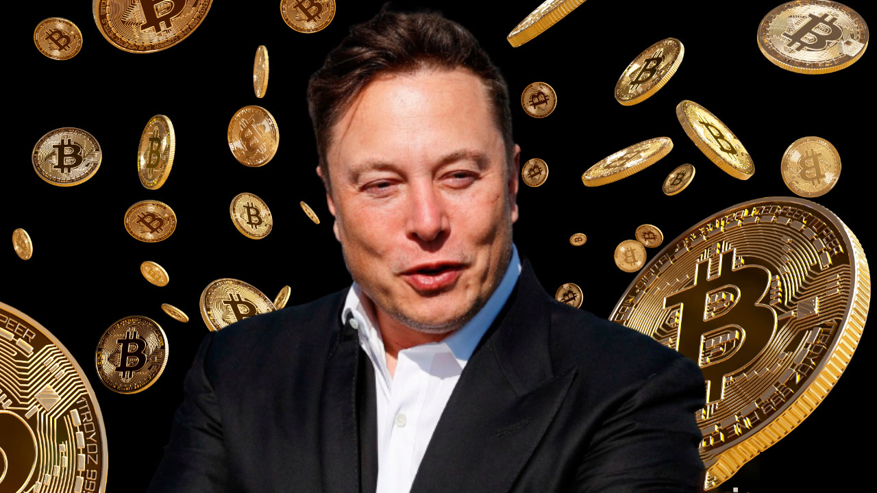 Elon Musk fake Image